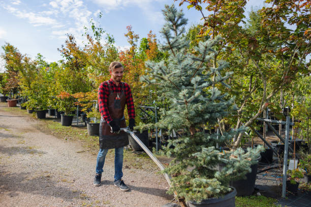 Lawn Watering Services in Rehoboth Beach, DE